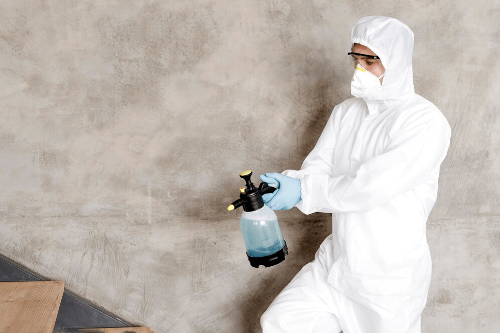 Mold remediation contractor team